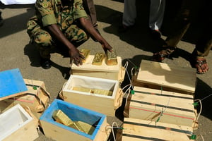 Saisie de lingots d’or à Khartoum, au Soudan, en mai 2019. © Mohamed Nureldin Abdallah /REUTERS