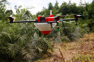 Drone dans une plantation de palmiers à huile, à Tiassale, en Côte d’Ivoire. Les drones pulvérisateurs permettent de traiter 1 hectare douze fois plus vite qu’un travailleur manuel. © Luc Gnago/REUTERS