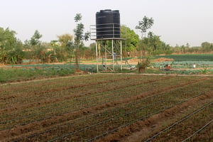 Irrigation au Burkina Faso. © DR