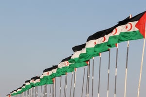 Des drapeaux de la République arabe sahraouie démocratique (RASD), à Tifariti. © MOHAMED MESSARA/MAX PPP