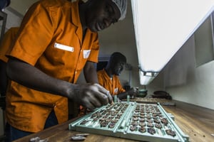 Unité de transformation du Cacao dans l’usine de Choco Ivoire à San Pedro, dans le sud-ouest de la Côte d’Ivoire. Mars 2016. © Jacques Torregano pour JA