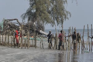 L’île de Diogué, au Sénégal, en octobre 2021. © Patrick Chevalier