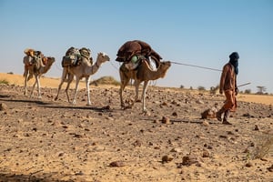Avant le Covid-19, le secteur visait les 10 000 touristes de randonnée par an dans le pays. Ici, un chamelier dans la région de l’Adrar. © Anita BACK/LAIF/REA
