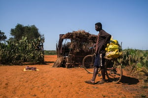 Le Sud-Est de Madagascar est victime du phénomène du « Kere » : une crise alimentaire due à une période de sécheresse intense, qui provoque un arrêt brutal des cultures. Les agriculteurs se retrouvent dans une situation de « malnutrition sévère », voire de famine. Ici, près d’Ambovombe, dans la province de Tuléar, le 1er septembre 2021. © RIJASOLO / AFP