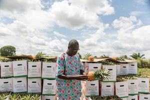 Premier secteur contribuant au PIB : l’agriculture. Ici, Jean-Xavier Satola, président de l’Association nationale des exportateurs d’ananas. © YANICK FOLLY/AFP