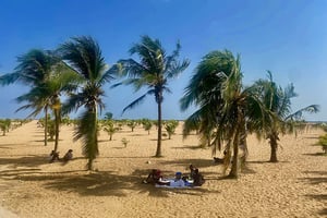 Farniente et pique-nique sous les cocotiers le long de la route des Pêches. © François-Xavier Freland pour JA