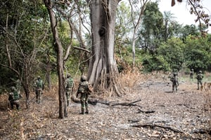 Des membres des forces armées sénégalaises devant une base rebelle du MFDC dans la forêt de Blaze, en Casamance, le 9 février 2021. © JOHN WESSELS/AFP