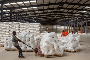 Des ouvriers congolais dans une minoterie de l’Africa Milling Company du groupe Somika, à Kinsevere dans la province minière du Katanga, le 23 février 2015. © Gwenn Dubourthoumieu pour JA