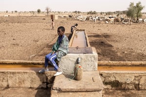 Un jeune éleveur peul assis à un point d’eau pour le bétail dans la région de Matam au Sénégal, le 11 mars 2022. © JOHN WESSELS / AFP