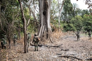 Des membres des forces armées sénégalaises en opération dans la forêt de Blaze, le 9 février 2021. © JOHN WESSELS/AFP