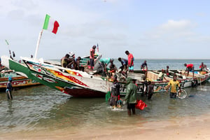 Dans le port de Djiffer, au Sénégal. © Alaattin Dogru/Anadolu Agency/AFP