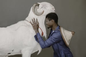 Assane Dieye, gérant de la bergerie Menenek, avec le mouton Ballon d’or, au Sénégal, en avril 2022. © Sylvain Cherkaoui