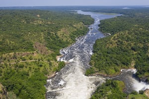 Les chutes Murchison ou chutes Kabarega, sur le Nil, dans le parc national de Murchison Falls en Ouganda, entre le lac Kyoga et le lac Albert. © Guenterguni/Getty Images