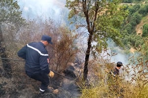 Intervention de la Protection civile lors d’un feu de forêt à Setif, en Algérie, le 17 août 2022. © Algerian Civil Defense/Handout/Anadolu Agency via AFP.