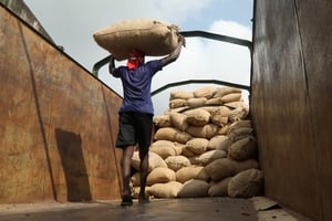 Transport de sacs de cacao par camion à Soubre, Côte d’Ivoire. © REUTERS/Luc Gnago