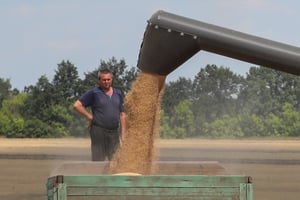 JAD20220913-TRIBUNE-ZOUARI A combine harvester loads a truck with wheat in a field, as Russia’s attack on Ukraine continues, in Kharkiv Region, Ukraine July 30, 2022. 
© Vyacheslav Madiyevskyy / Reuters