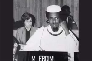 Le Tchadien Tom Erdimi, prise lors d’un sommet de l’UNESCO en 1992. © DR