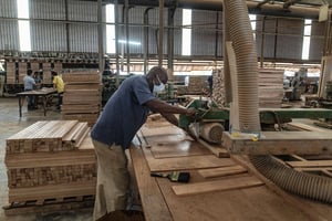 Dans la zone de Nkok, où se sont installées 144 entreprises issues de 19 pays, quelque 70 secteurs industriels sont représentés : bois, ciment, pharmacie, manufacture… © Jacques Torregano pour JA