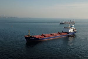 Un cargo chargé de céréales en cours d’inspection dans la zone d’ancrage de l’entrée sud du Bosphore à Istanbul, le 31 octobre 2022. © Ozan KOSE / AFP