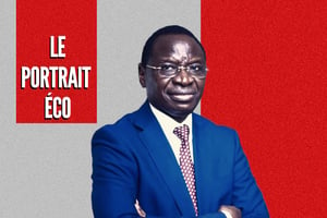 Serigne Guéye Diop est ministre conseiller de Macky Sall, chargé de l’Industrie et de l’Agriculture. © MONTAGE JA : Facebook Dr. Serigne Guèye DIOP