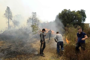 Incendie de forêt à Tizi Ouzou, le 12 août 2021. © Mousaab Rouibi/Anadolu Agency via AFP