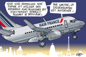 La justice a donné raison au steward qui avait été interdit de vol sur Air France pour ports de tresses afro. © Damien Glez
