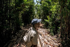 Un garde forestier dans la forêt primaire de Vohibola, à Madagascar, en mars 2019. © Rijasolo/AFP
