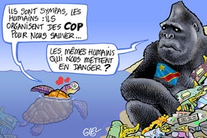 Le représentant de la RDC lors de la COP15 sur la biodiversité a critiqué les faibles moyens promis. © Damien Glez