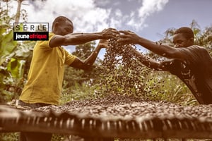 Des cacaoculteurs font sécher des fèves de cacao, dans la région occidentale du Ghana. © Sven Torfinn/PANOS-REA
