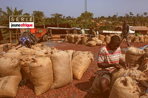 Préparation de sacs de fèves de cacao, dans le village de Kahin, à la lisière de la forêt classée de Scio à Duékoué, Côte d’Ivoire, le 9 février 2018. © REUTERS/Luc Gnago / REUTERS