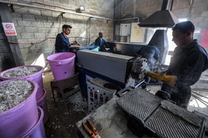 Des employés de la start-up TileGreen préparent des briques de plastique recyclé, en décembre 2022, dans la banlieue du Caire. © Ahmed HASAN / AFP