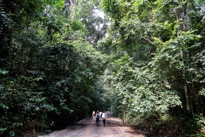 « Le Bois des géants », près de Libreville, le 28 février 2023. Visitors walk in the  « Giant’s Woods » national reserve in Libreville, on February 28, 2023, on the eve of the start of the One Forest Summit. – The One Forest Summit is held on March 1 and 2, 2023, in Libreville
© LUDOVIC MARIN/AFP