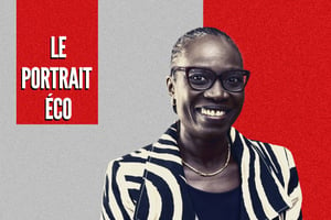 La riche carrière de Thiaba Camara Sy a débuté en 1990 lorsqu’elle a fondé son propre cabinet d’audit et de conseil, à Dakar. © MONTAGE JA : DR