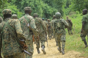 En 2021, une opération militaire conjointe entre les armées congolaise et ougandaise avait été lancée pour traquer les ADF dans le Nord-Kivu et dans la province voisine de l’Ituri. © Sébastien KITSA MUSAYI / AFP.