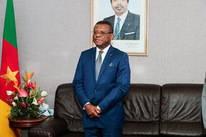 Le juriste Joseph Dion Ngute dirige le gouvernement camerounais depuis janvier 2019. © MABOUP