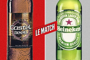 Castel et Heineken sont deux géants de l’industrie brassicole. © MONTAGE JA : CASTEL ; HEINEKEN