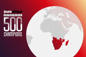 Sur les 100 premières entreprises d’Afrique australe, 88 sont sud-africaines. © Montage JA; Adobe Stock