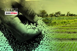 En Afrique, la production locale d’intrants est très limitée. © MONTAGE JA : ADOBESTOCK ; FACEBOOK IFDC.