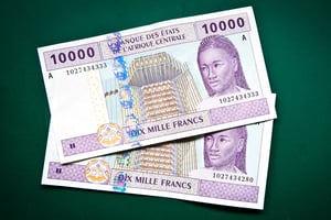 Billets de francs CFA de l’Afrique centrale (Cameroun, Gabon, Tchad, Guinée équatoriale, Centrafrique, Congo). © Vincent Fournier/JA