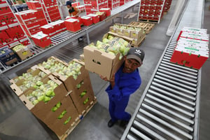 Entrepôt d’emballage Bella Frutta à Ceres, en Afrique du Sud, le 18 janvier 2023. © Esa Alexander/REUTERS
