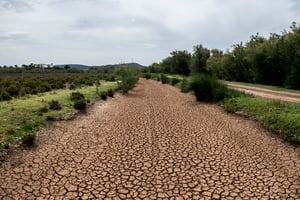Ruisseau asséché à côté de la Laguna de Fuente de Piedra dans la province espagnole de Malaga, le 28 avril 2023. © Carlos Gil / Getty Images via AFP
