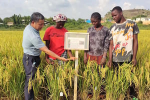 Le développement est la croissance adossée aux conditions qui la rendent durable : santé, éducation, agriculture, habitat, et bonne gouvernance. Ici des stagiaires africains se forment dans une ferme d’Abuja, capitale du Nigeria, en avril 2022. © CAAS Institute of Crop Sciences/Xinhua via AFP