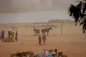Les conflits intercommunautaires sont récurrents au Tchad, notamment entre éleveurs musulmans nomades et cultivateurs autochtones sédentaires. Un marché aux bestiaux à Adre, au Tchad, le 11 mai 2023. © Zohra Bensemra/Reuters