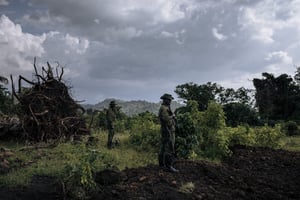 Des gardes du parc national des Virunga dans le territoire de Rutshuru, au nord de Goma, dans l’est de la RDC, le 1er avril 2022. © Alexis Huguet / AFP