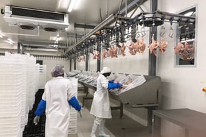 Au sein d’une usine de poulets de Sedima. Le groupe emploie quelque 800 salariés. © Twitter Sedima Group