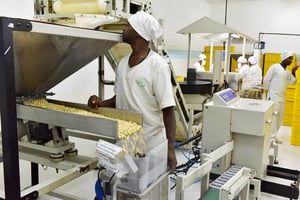 Dans une usine de transformation de noix de cajou à Bouaké, le 24 mai 2018. © ISSOUF SANOGO/AFP