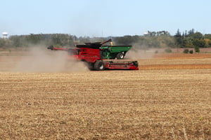 Récolte de céréales dans une ferme de Stouffville, Ontario, Canada, le 30 septembre 2022. © Creative Touch Imaging Ltd/NurPhoto via AFP