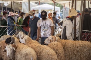 Sur un marché de la banlieue de Rabat. © Mosa’ab Elshamy/AP/SIPA