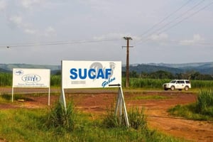 La Sucrerie africaine du Gabon (Sucaf) subit de très lourdes pertes financières, mais refuse en l’état de parler de pénurie. © DR