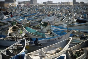La pêche, principalement industrielle, plus marginalement côtière et artisanale, assure 9 % du PIB mauritanien, 16 % des recettes publiques et 23 % des devises d’exportation, selon Nouakchott. © Sylvain Cherkaoui/REUTERS